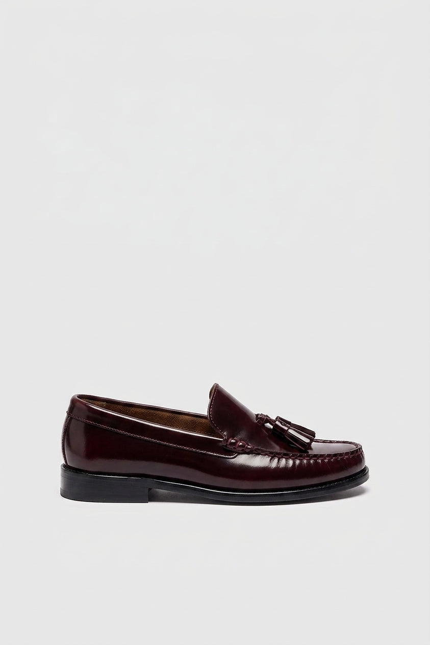 ZAPATO FREDDY